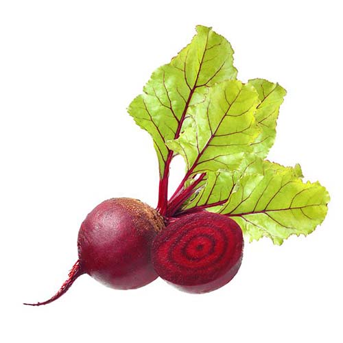 21219748 - beetroot with leaves isolated on white