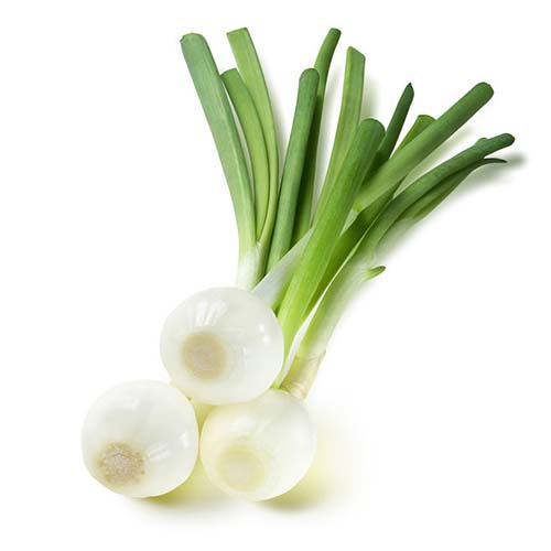 Spring Onion / Scallion - Versatility