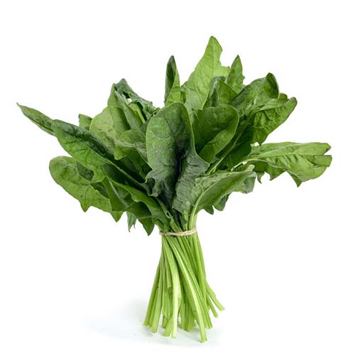 bunch of raw spinach