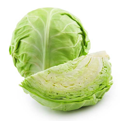 11903322 - cabbage isolated on white background