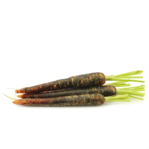 Black Carrot