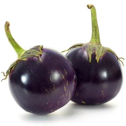 Brinjal - Aubergine - Eggplant