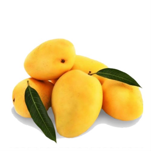 Mango - Alphonso test