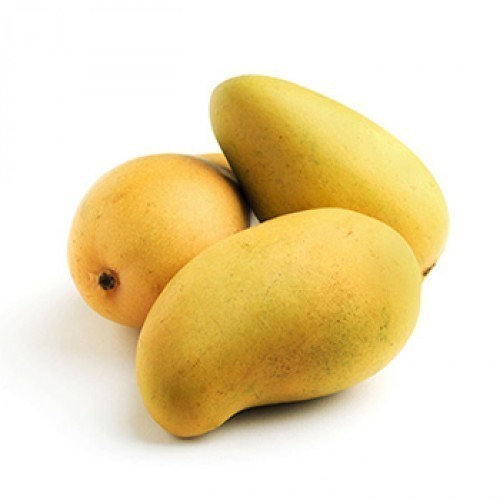 Mango - Kesar