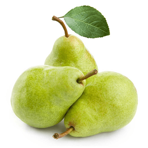 Moti dandi pear