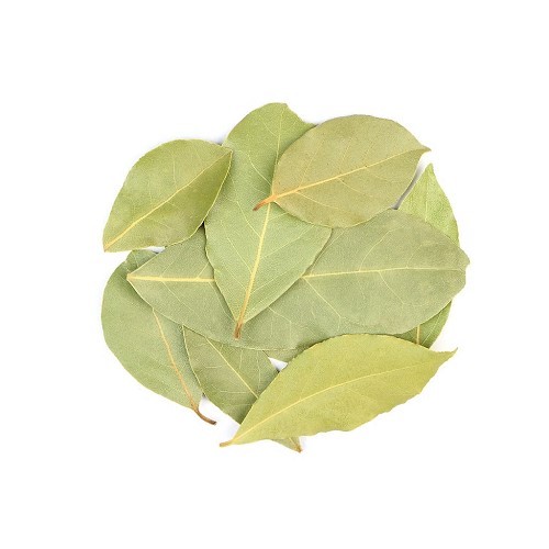 Tej Patta (Bay Leaf) - medicinal