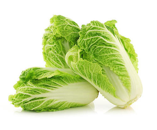 chinese-cabbage-500x500