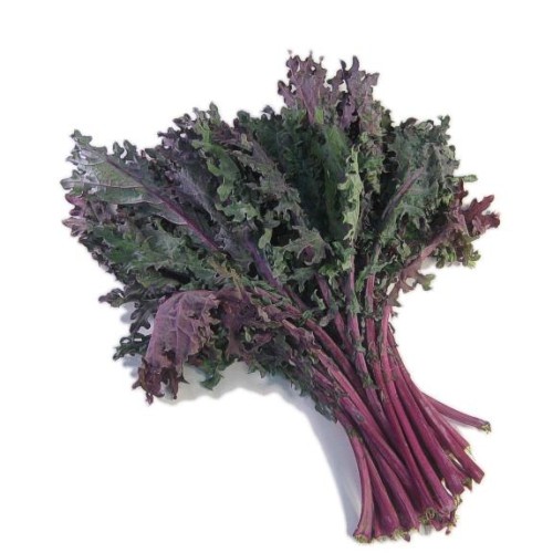 Kale - Fibre-Rich
