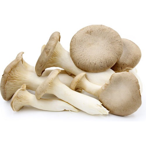 fresh-oyster-mushroom-1605606871-5634164