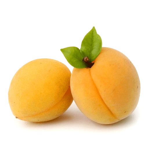 White Apricot