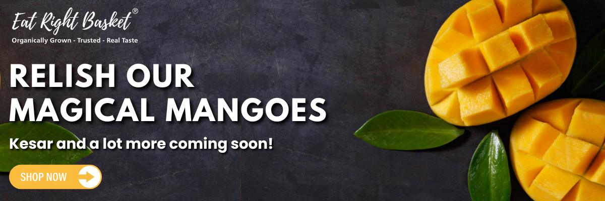 New Mango Banner 1200x400px