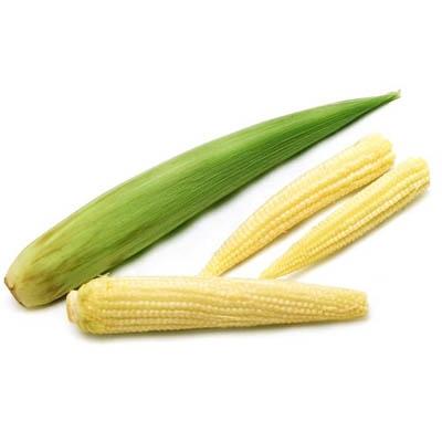 image-of-fresh-baby-corn-vegetables-14764406571052_400x400