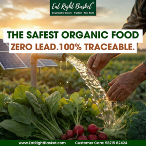 Organic food in delhi, noida India