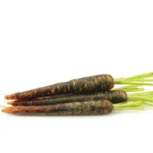 Best Organic Black Carrot (Kali Gajar) in Delhi & Noida | Nutrient-Dense | ERB