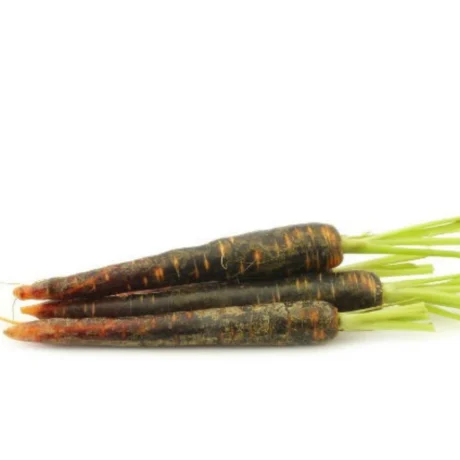 Best Organic Black Carrot (Kali Gajar) in Delhi & Noida | Nutrient-Dense | ERB