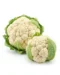 Best Organic Cauliflower in Delhi & Noida | Fresh & Local | ERB
