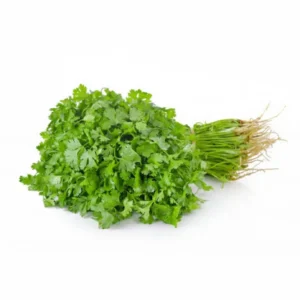 Hara Dhaniya / Green Coriander (100g)