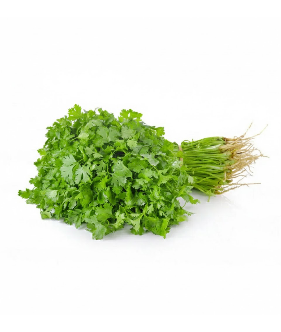 Hara Dhaniya / Green Coriander (100g)