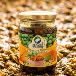 Organic Mango Pickle | Traditional Sun-Dried Aam Ka Achar | ERB