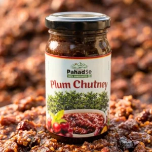 Organic Plum Chutney | Low-Sugar Himalayan Plum Spread | ERB