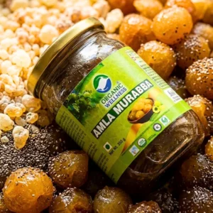 Ayurvedic Amla Murabba (350g) | Spiced Gooseberry with Brahmi & Ashwagandha | ERB