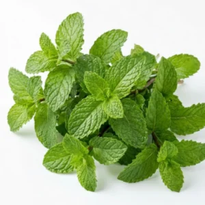 Pudina / Mint Leaves (100g) Organically Grown