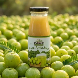 Pure Amla Juice | Himalayan Vitamin C Immunity Booster | ERB