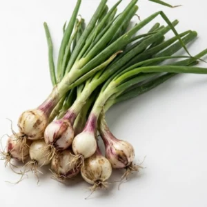 Spring Onion (250g) | Organic Veggies Delivery Delhi Noida | ERB