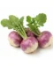 Turnip (500g) | Organic Veggies Delivery Delhi Noida | ERB