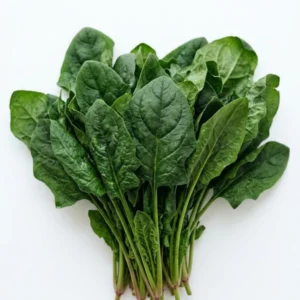 Best Organic Desi Spinach (Palak) in Delhi & Noida | Fresh & Local | ERB