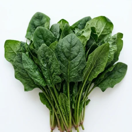 Best Organic Desi Spinach (Palak) in Delhi & Noida | Fresh & Local | ERB