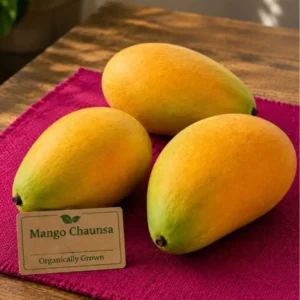 Organic Chaunsa Mango | Authentic Lucknow Heritage | ERB